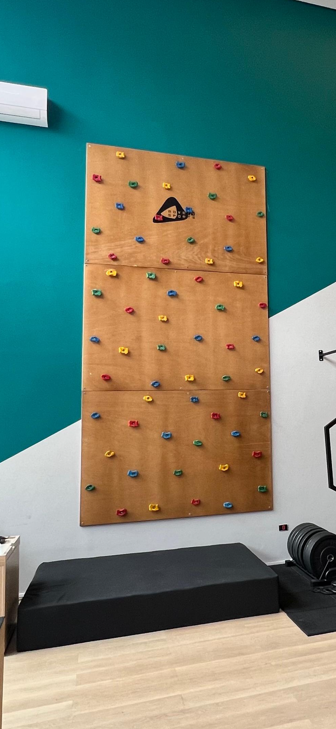 Parede de escalada funcional da Move In Sports